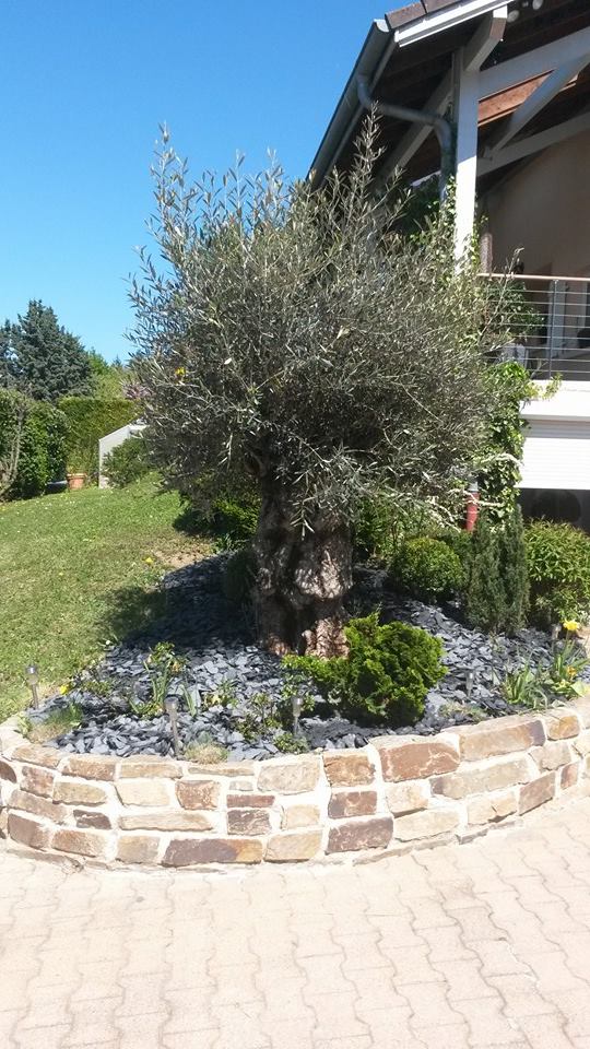 a person sitting on a dock