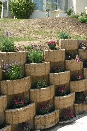selective focus photography of jolly woman using peace hand gesture